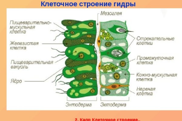 Kraken наркошоп